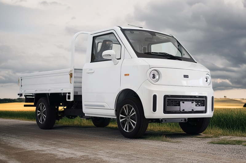 Elektro Transporter